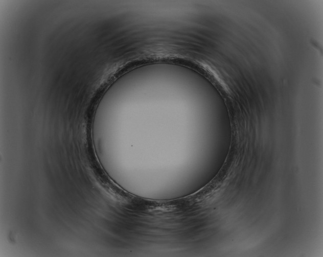 X0000094910447200711291003
