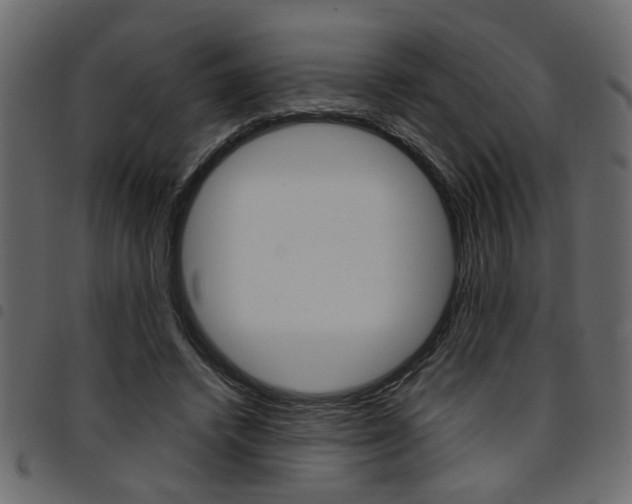X0000094910448200711291003