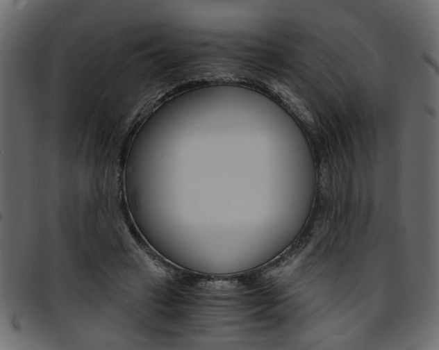 X0000094910449200711291003