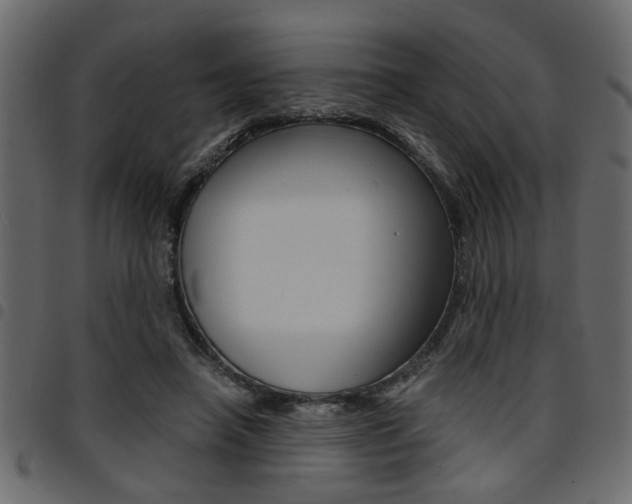 X0000094910450200711291003