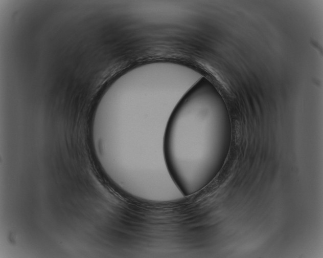 X0000094910451200711291003
