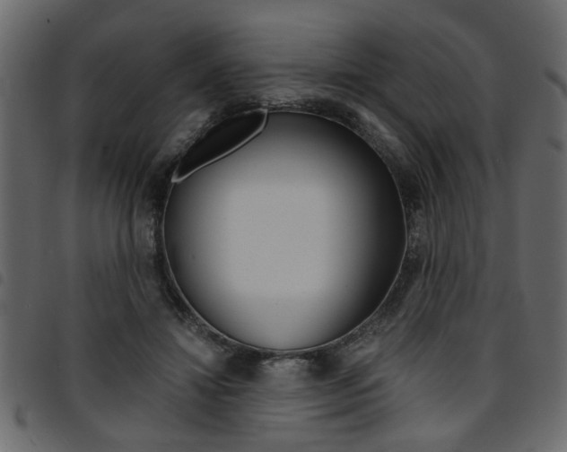 X0000094910452200711291003