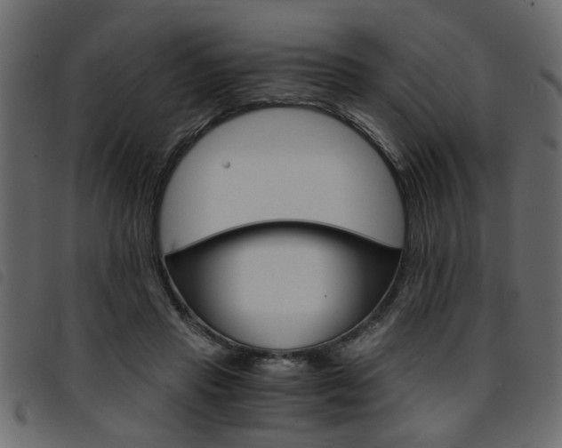X0000094910453200711291003