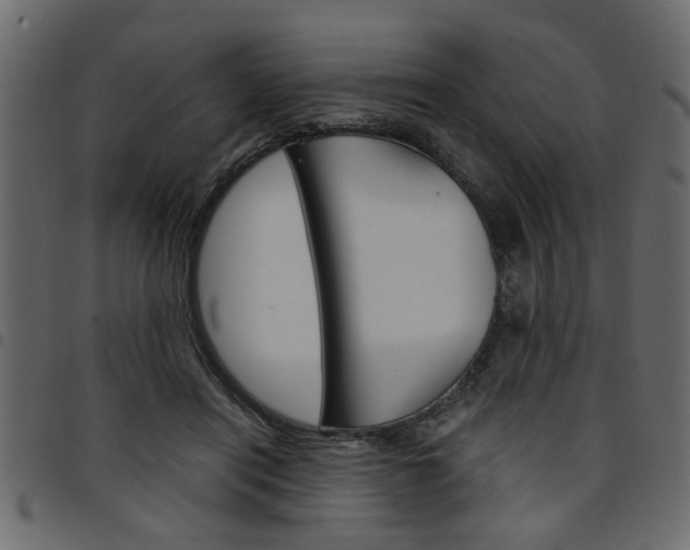 X0000094910454200711291003