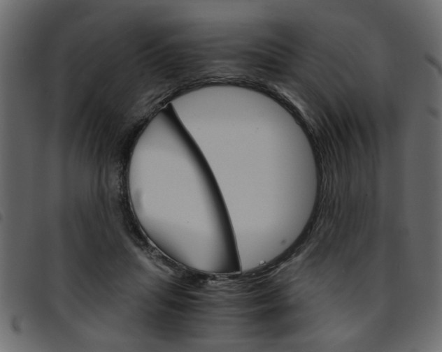 X0000094910455200711291003