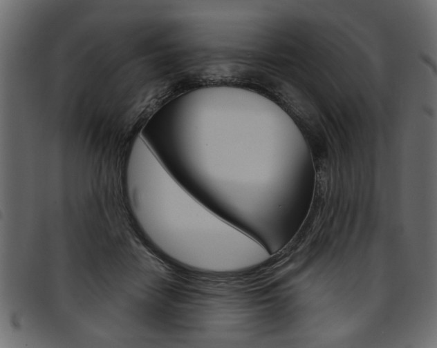 X0000094910458200711291004