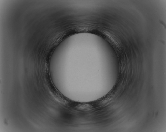X0000094910459200711291004