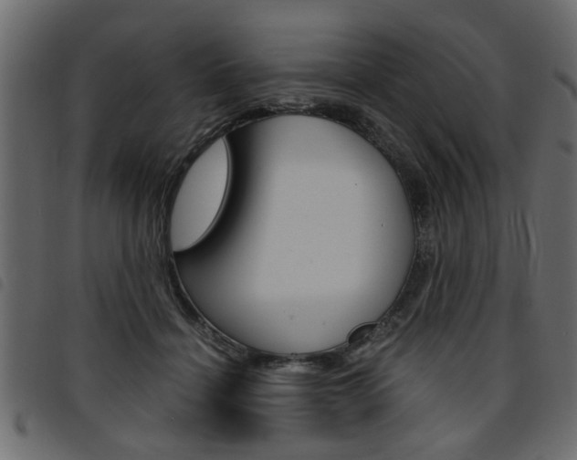 X0000094910460200711291004