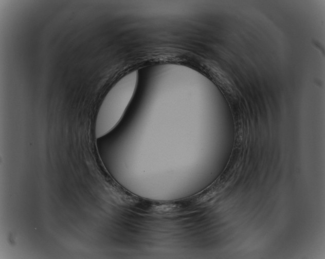 X0000094910461200711291004