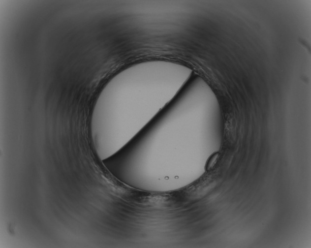 X0000094910462200711291004