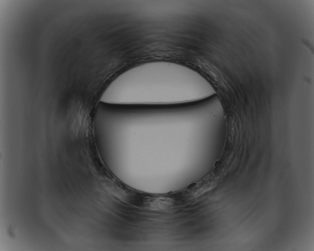 X0000094910463200711291004