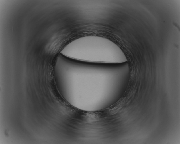 X0000094910464200711291004