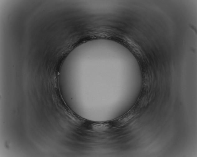 X0000094910465200711291004