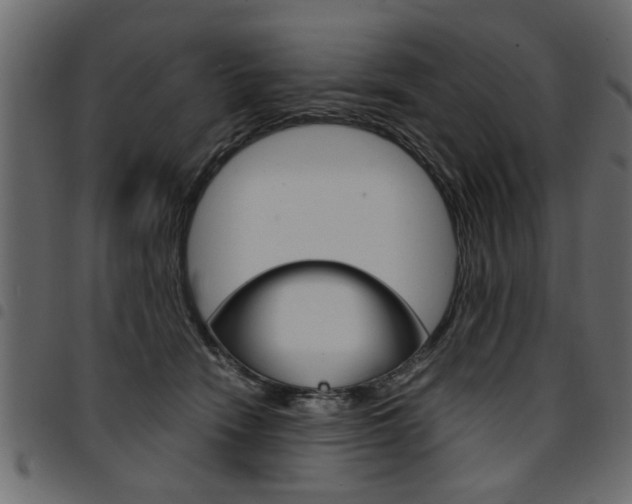 X0000094910466200711291004