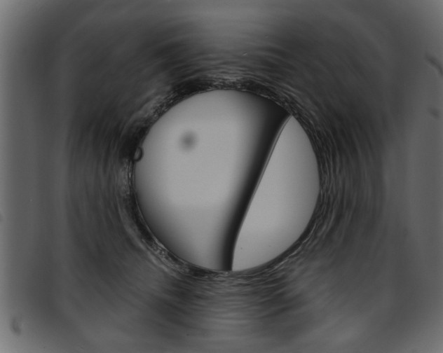 X0000094910468200711291004
