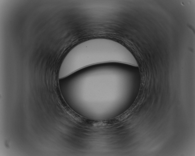 X0000094910470200711291004