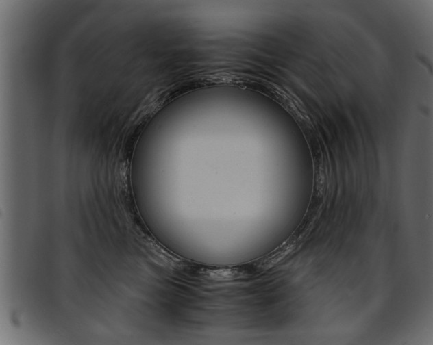 X0000094910473200711291004