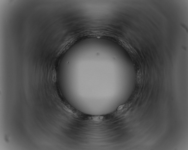 X0000094910474200711291004