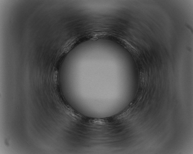 X0000094910475200711291004