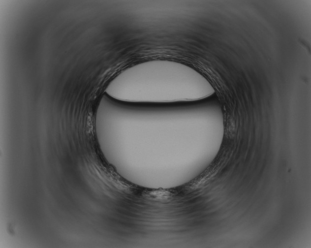 X0000094910478200711291004