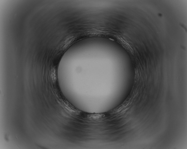 X0000094910479200711291004
