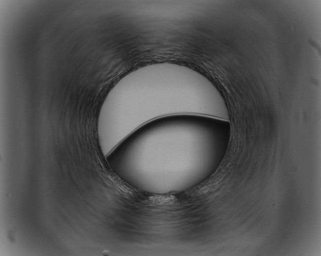 X0000094910480200711291004