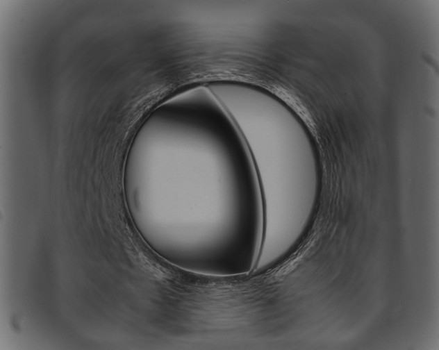 X0000094910481200711291003