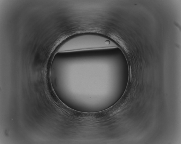 X0000094910483200711291003