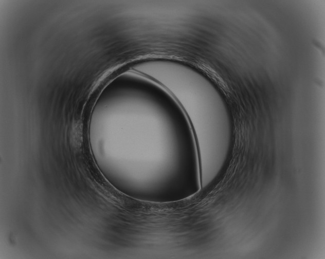 X0000094910484200711291003