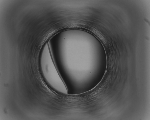 X0000094910485200711291003