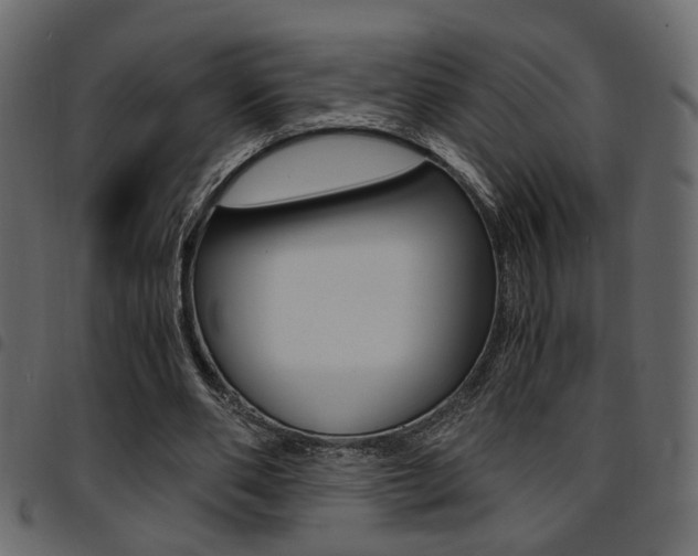 X0000094910486200711291003