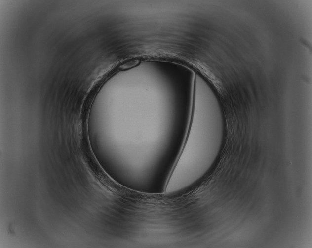 X0000094910488200711291003
