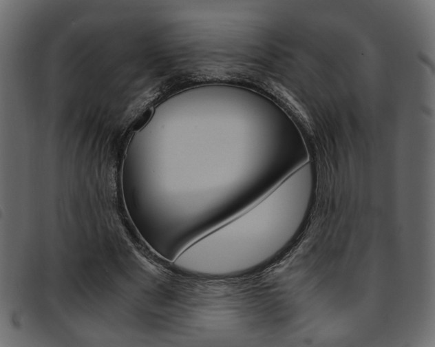 X0000094910489200711291003