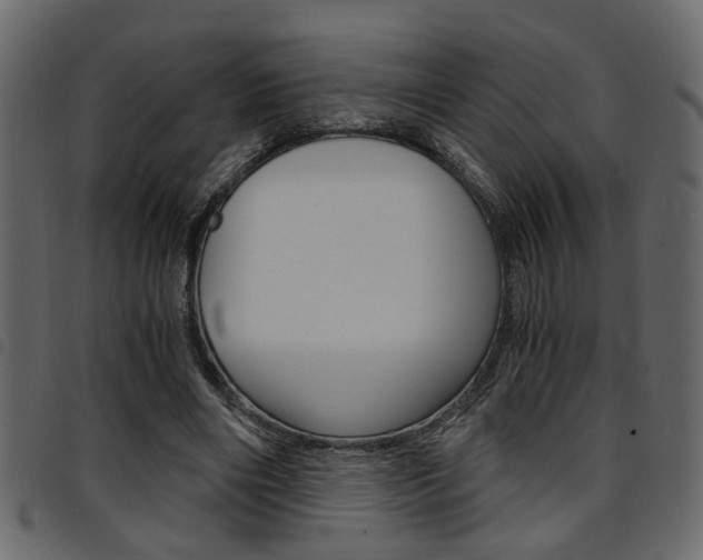 X0000094910490200711291003