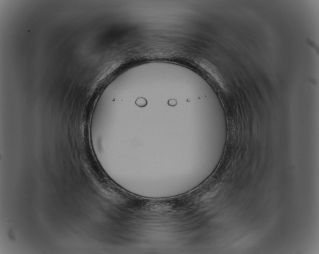 X0000094910491200711291003