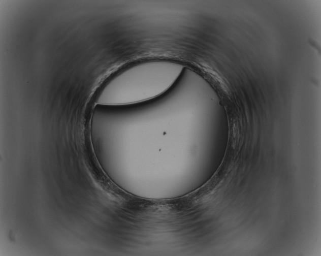X0000094910492200711291003