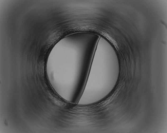 X0000094910493200711291003