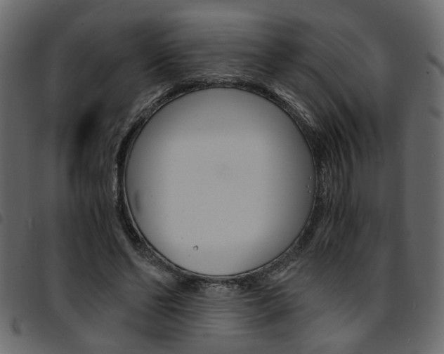 X0000094910494200711291003