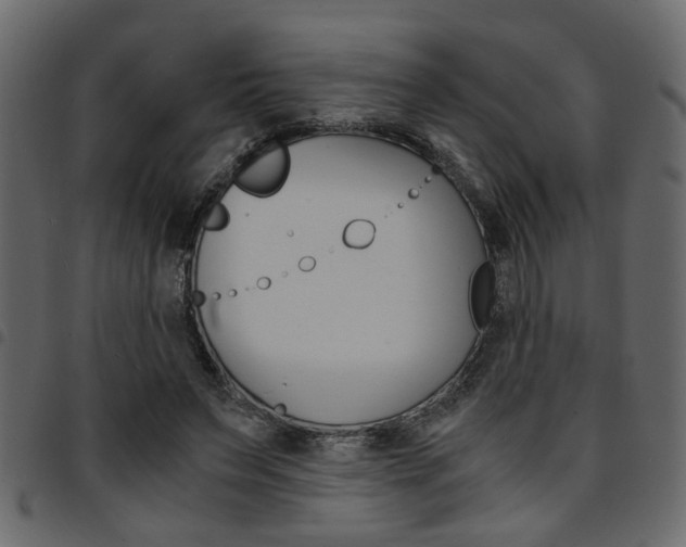X0000094910495200711291003