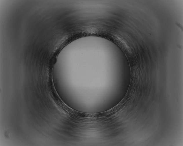 X0000094910496200711291003