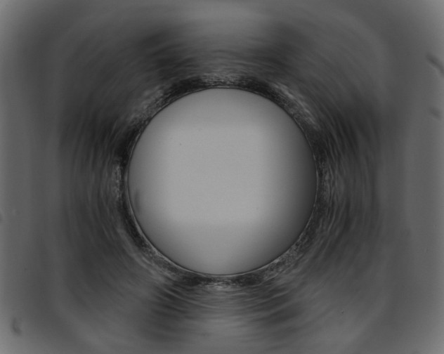 X0000094910498200711291003