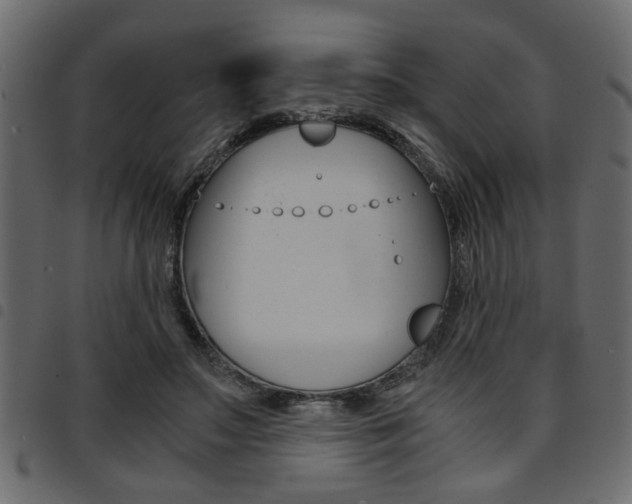 X0000094910499200711291003