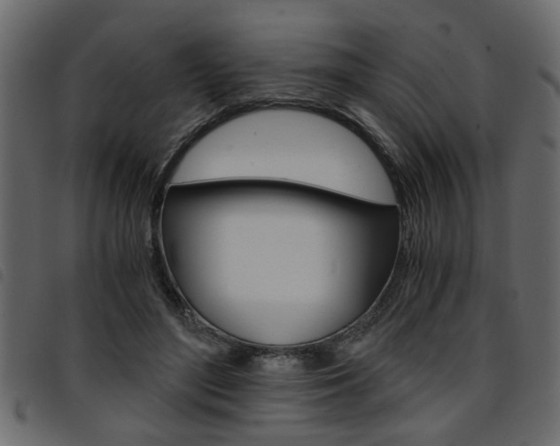X0000094910500200711291003