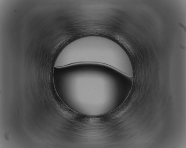 X0000094910501200711291003