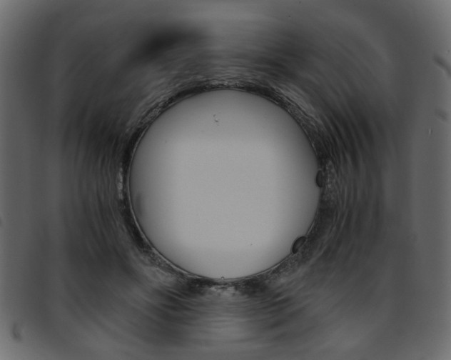 X0000094910502200711291003