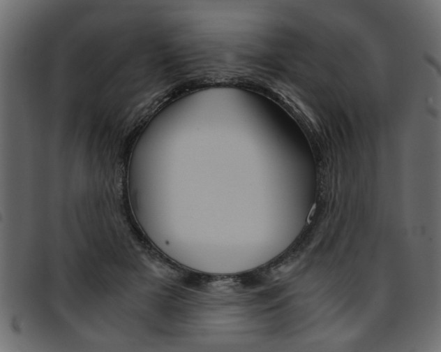 X0000094910505200711291003