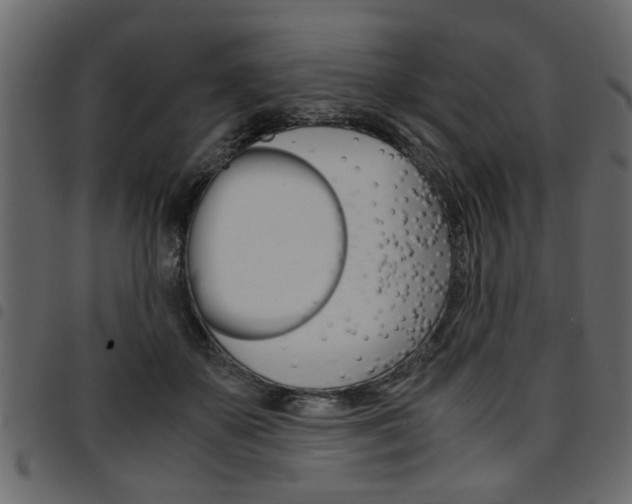 X0000094910507200711291003