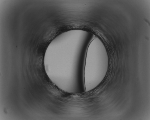 X0000094910509200711291003