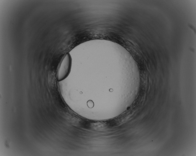 X0000094910511200711291003