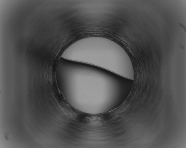 X0000094910512200711291003